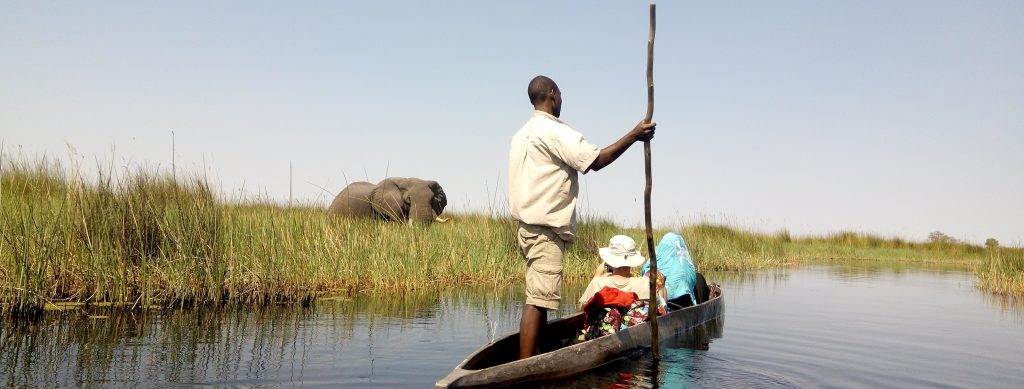 Okavango mokoro safaris