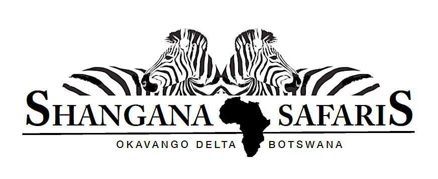 Affordable Botswana Safaris